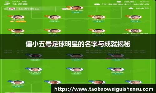 偏小五号足球明星的名字与成就揭秘